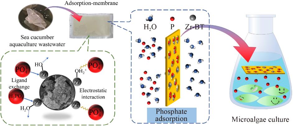 The Detection of Chlorine Excess in Textiles: A Consequence of Environmental Pollution