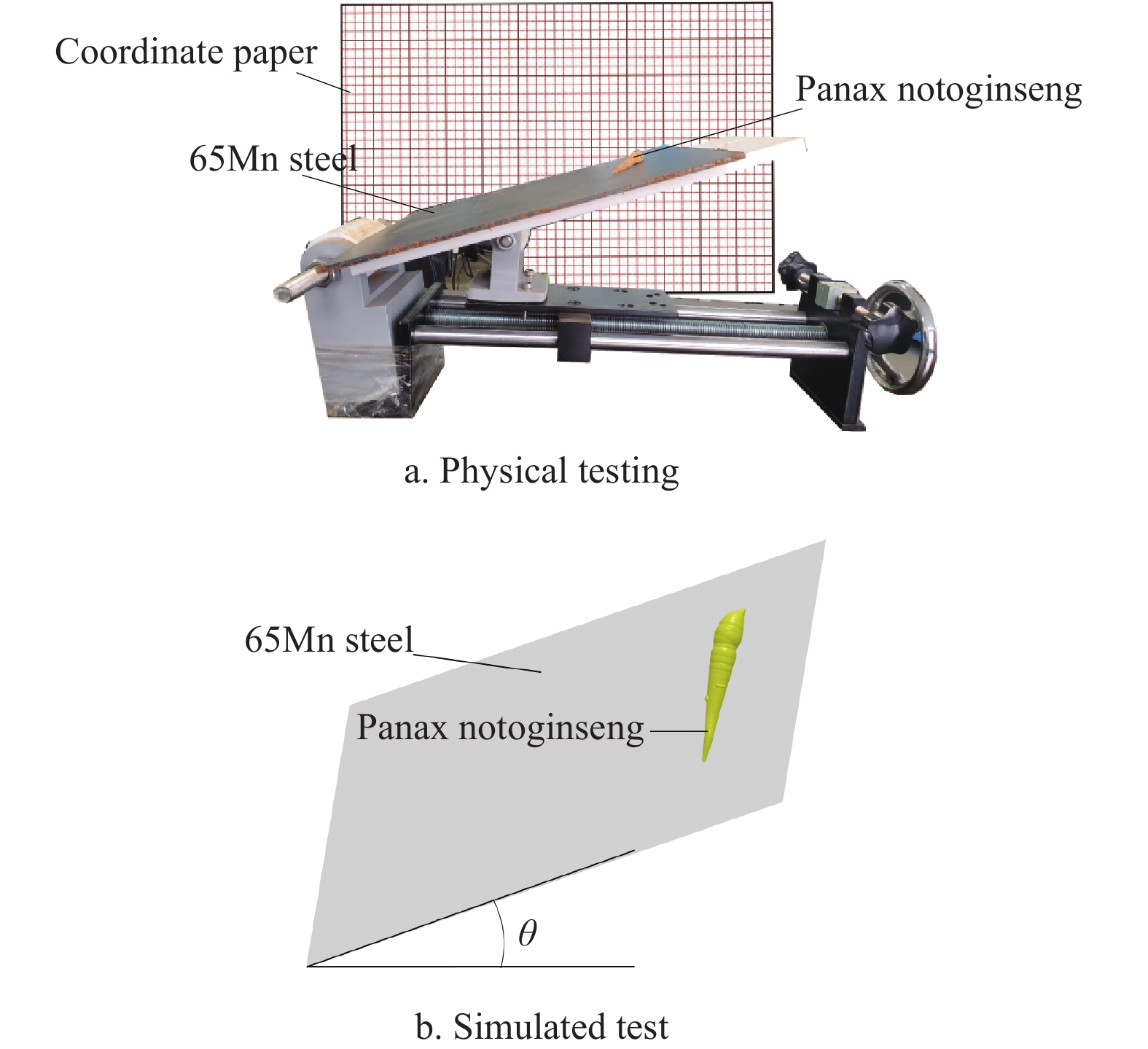 Position Openings in Nanjing Textile Testing Sector