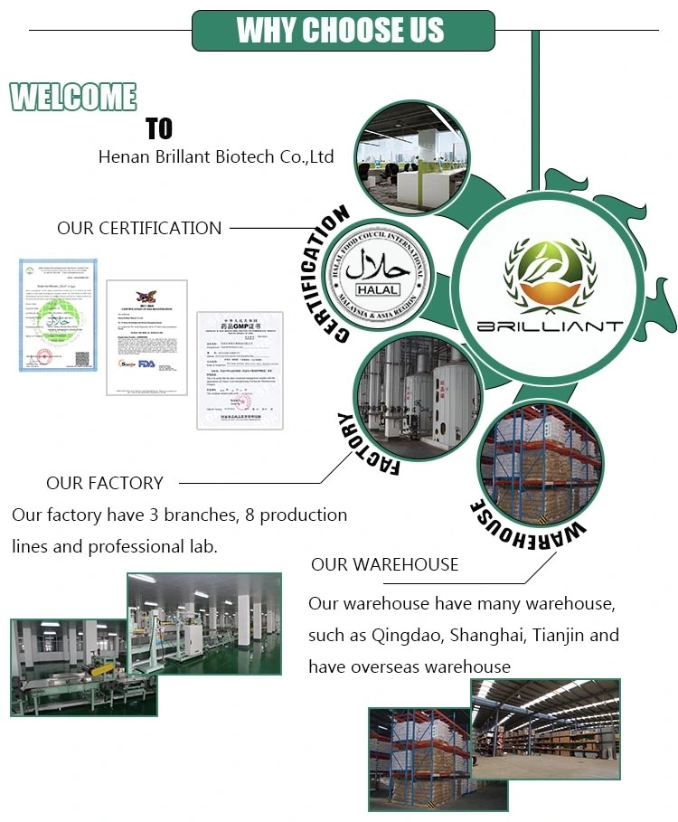 The Fabrication Innovations of Textile Chemical Producers in Guangdong