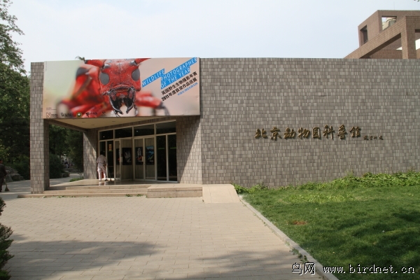 The Beijing Institute of Textiles: A Pioneer in Innovation and Sustainability