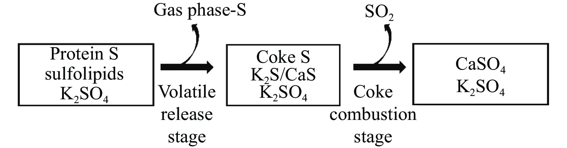 The Role of Finishing Processes in Textiles: A Comprehensive Analysis