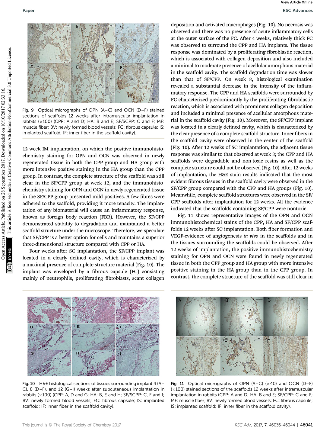 The Critical Evaluation of Textile Colorfastness to Climate Conditions