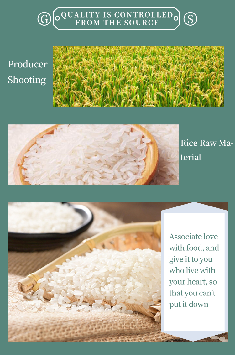 The Fabric of White Rice Town