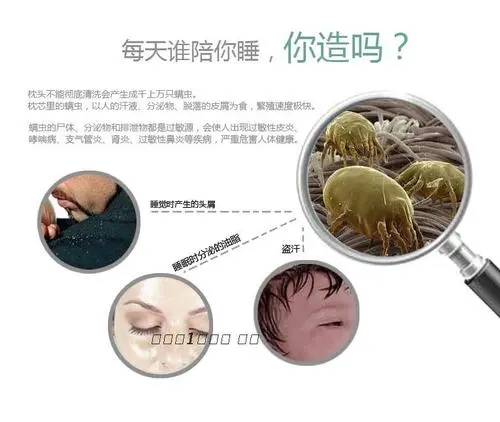 汕尾纺织品防螨剂品牌企业，引领防螨科技，塑造品质生活